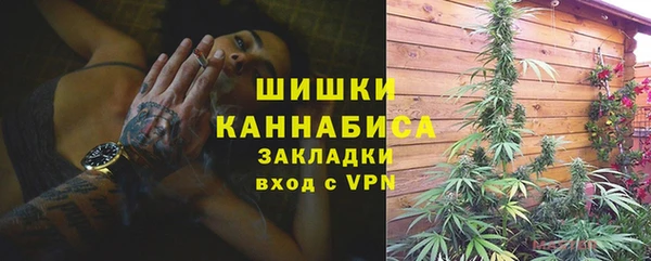 мет Арсеньев