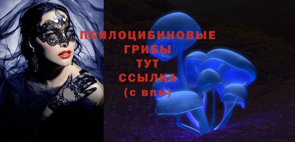 стаф Белокуриха